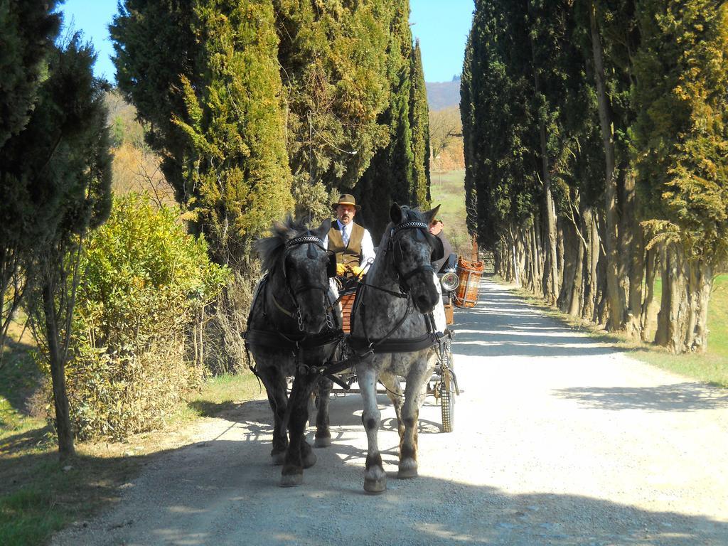 Albergo Giovanni Da Verrazzano Greve in Chianti Bagian luar foto
